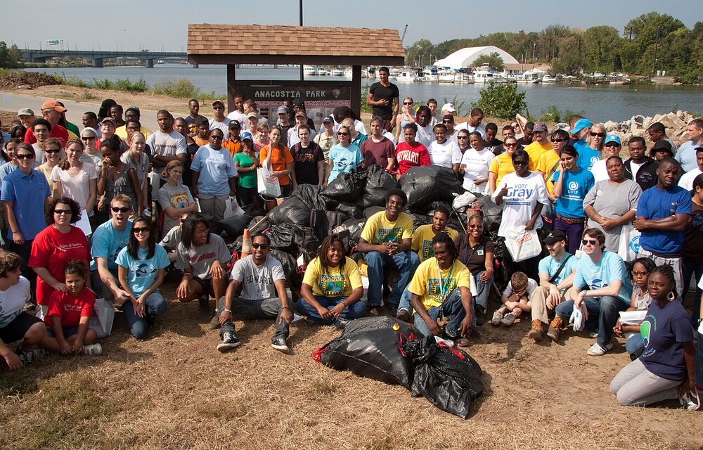 Volunteers participating in an organized shoreline cleanup