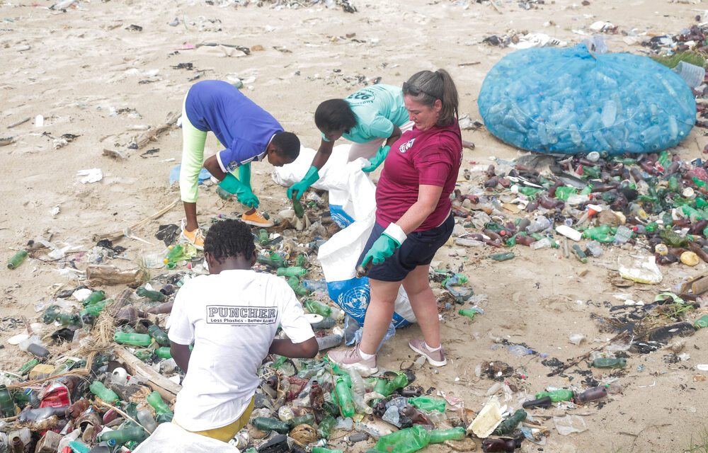 Plastic waste collected on a shoreline